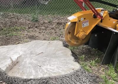 stump removed beside a house